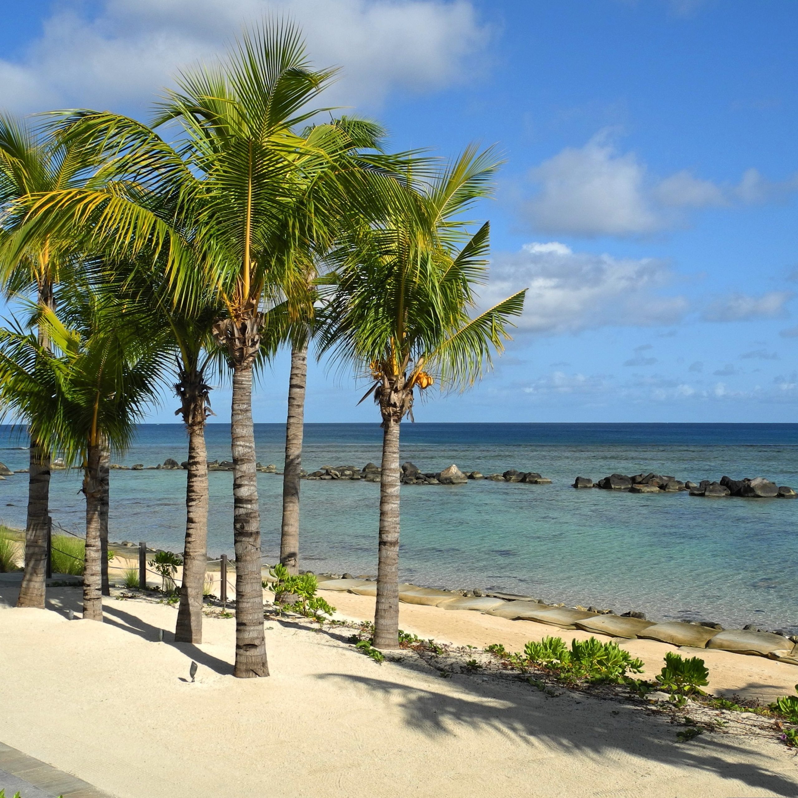 Circuit Île Maurice : Explorez les merveilles naturelles, marines et culturelles